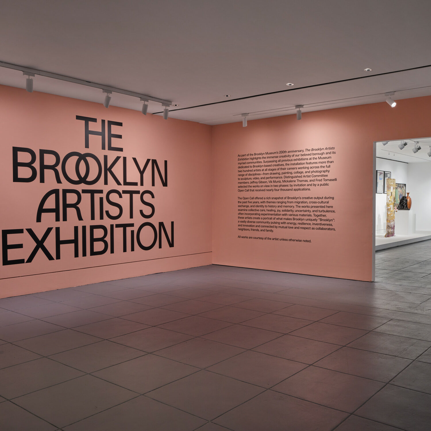 The Brooklyn Artists Exhibition at the Brooklyn Museum